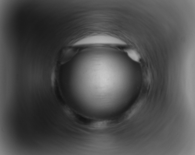 X0000087620084200705181320