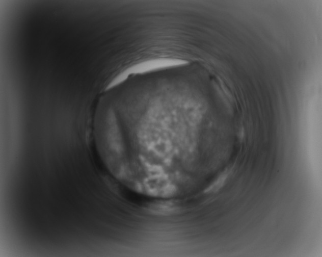 X0000087620086200705181320