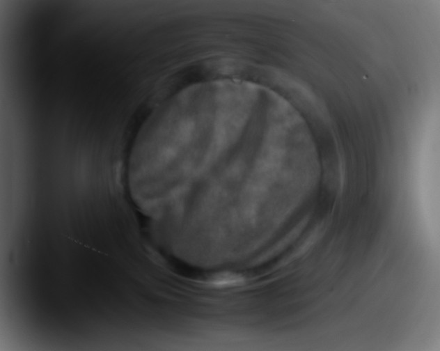 X0000087620087200705181320