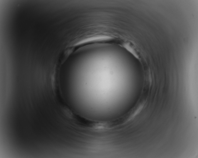 X0000087620088200705181320