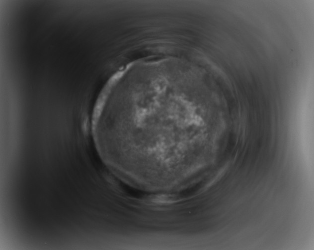 X0000087620089200705181321