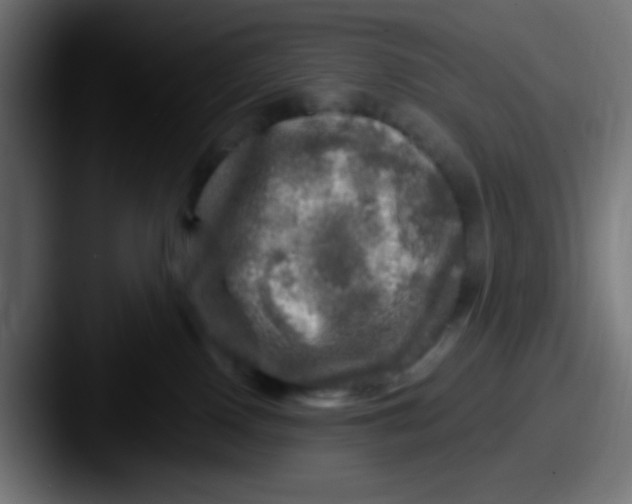 X0000087620090200705181321