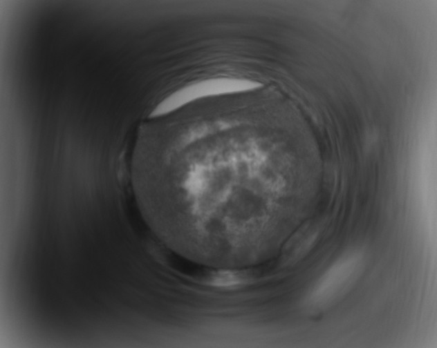 X0000087620091200705181321