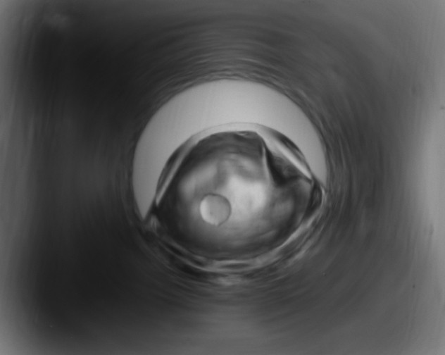 X0000087620092200705181321