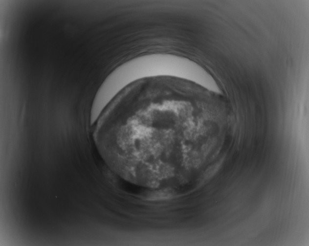 X0000087620093200705181321