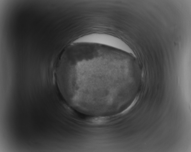 X0000087620094200705181321