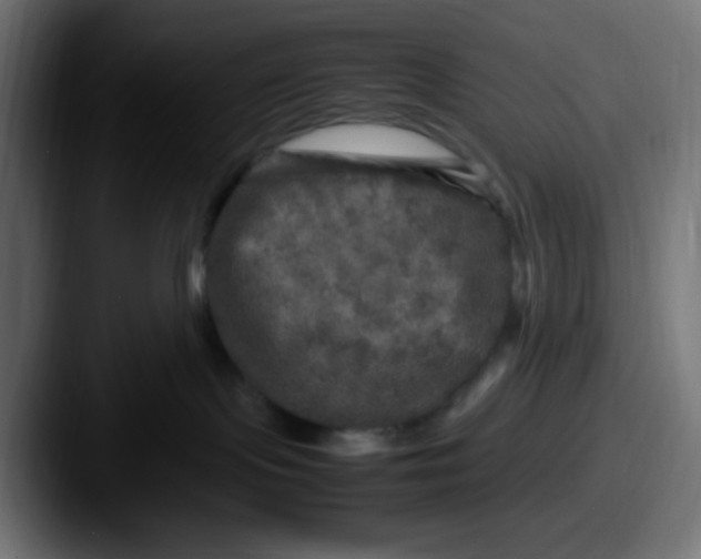 X0000087620095200705181321