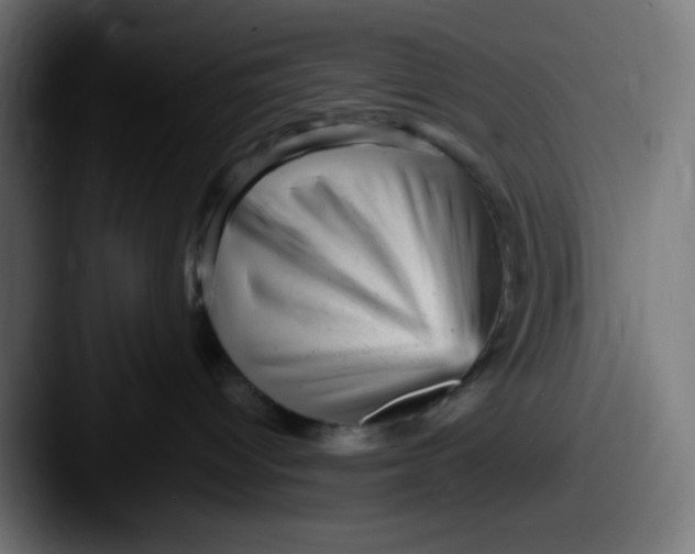 X0000087620096200705181321