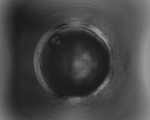 X0000087620097200705181320