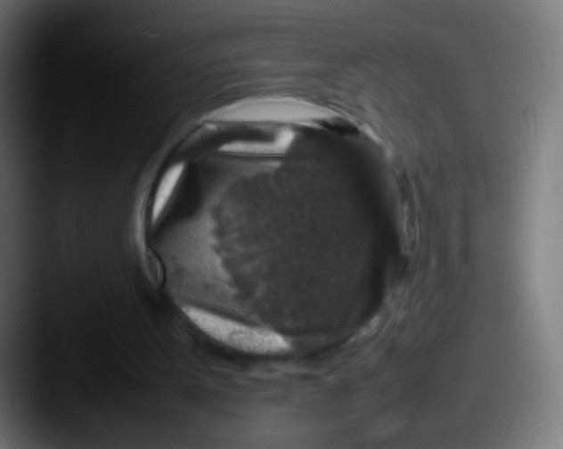 X0000087620099200705181320