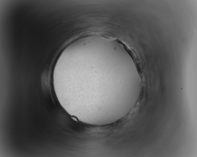 X0000087620100200705181320