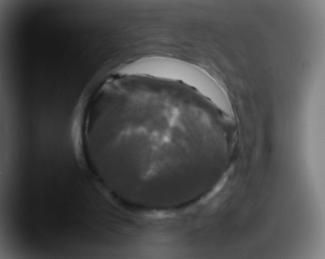 X0000087620101200705181320