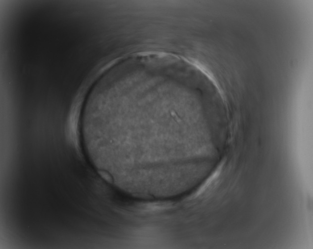 X0000087620103200705181320