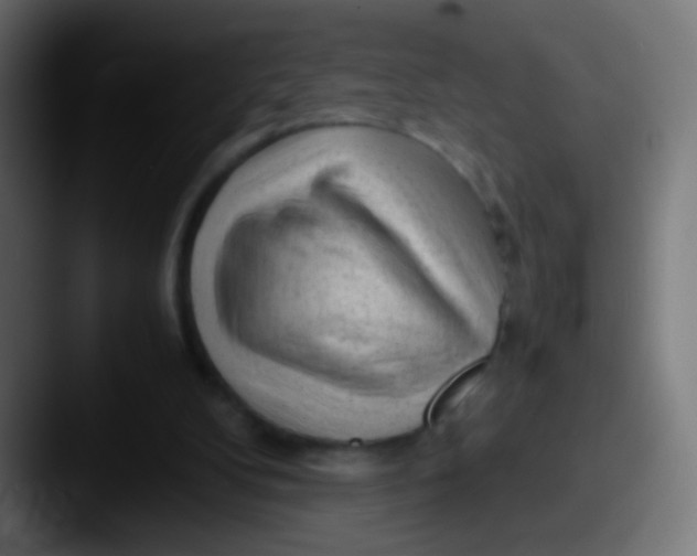 X0000087620104200705181320