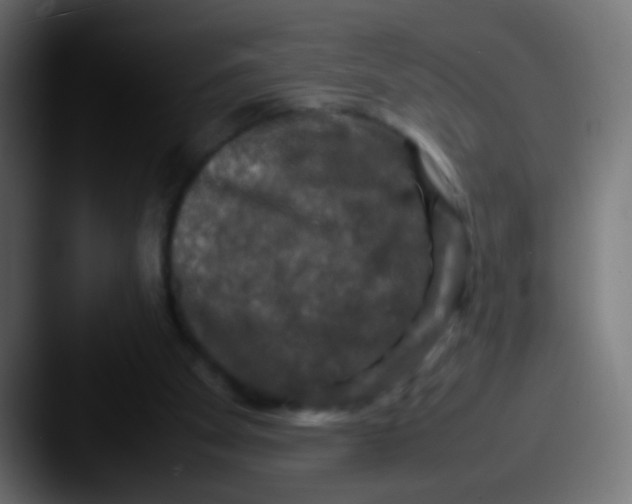 X0000087620105200705181320