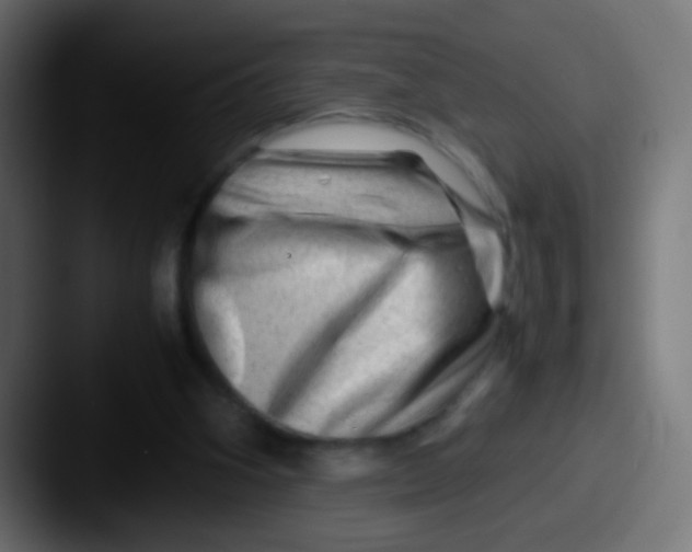 X0000087620106200705181320