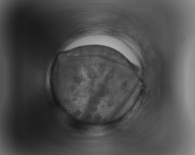 X0000087620107200705181320