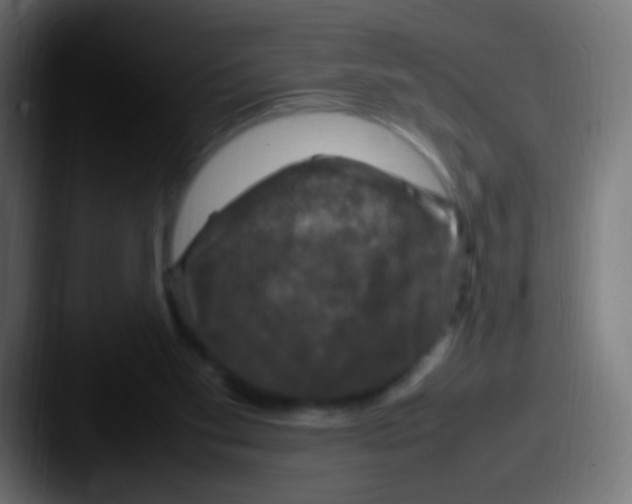 X0000087620109200705181320