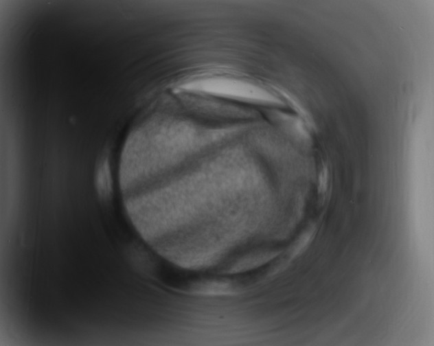 X0000087620110200705181320