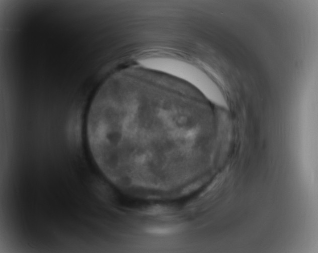 X0000087620111200705181320