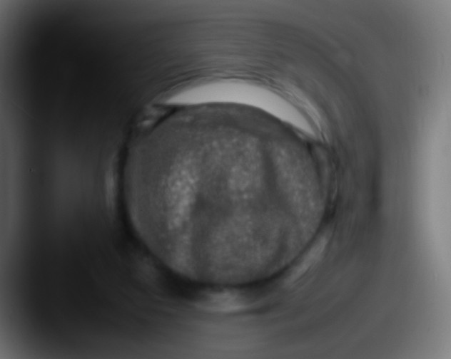 X0000087620113200705181320