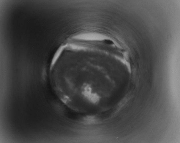 X0000087620114200705181320