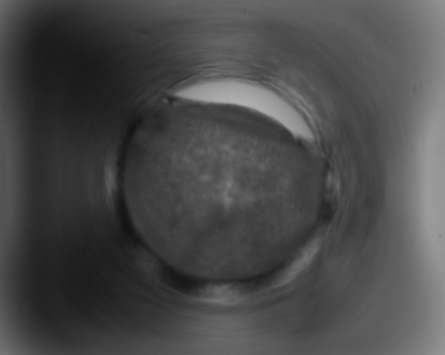 X0000087620117200705181320