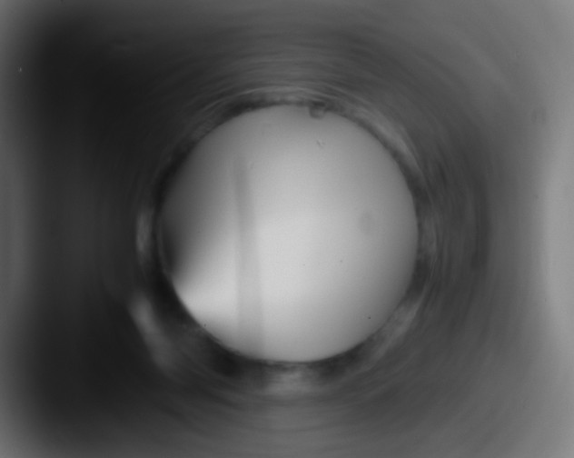 X0000087620118200705181320