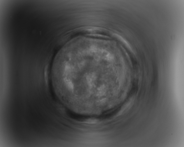 X0000087620119200705181320