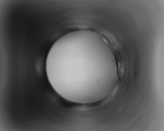 X0000087620120200705181320