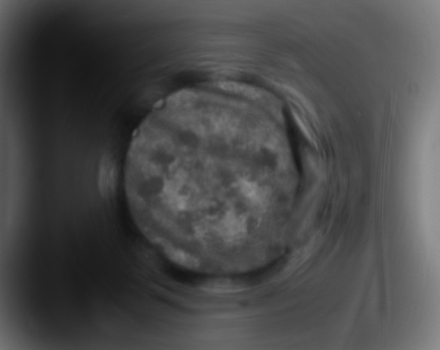 X0000087620123200705181320