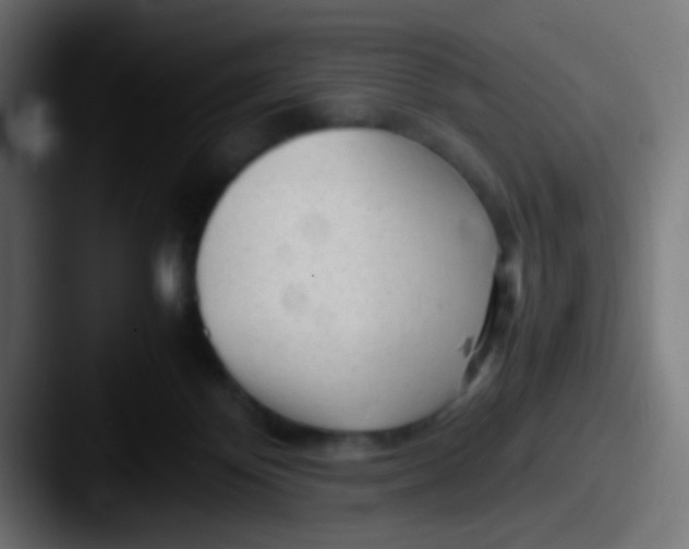 X0000087620124200705181320