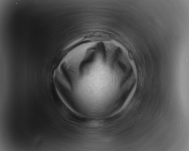 X0000087620126200705181320