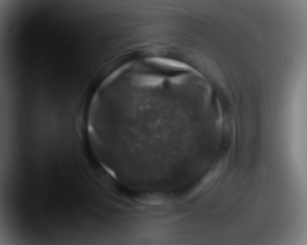 X0000087620127200705181320