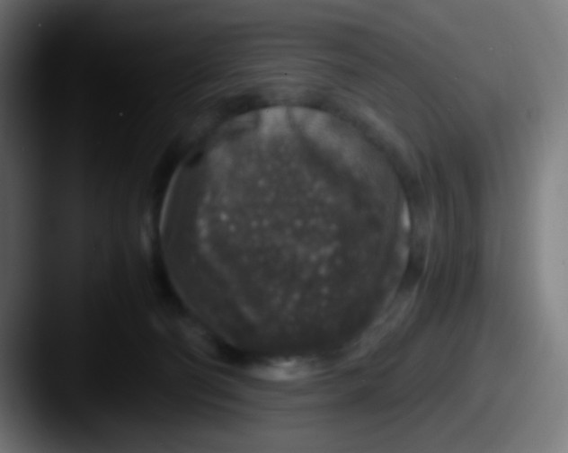 X0000087620130200705181320