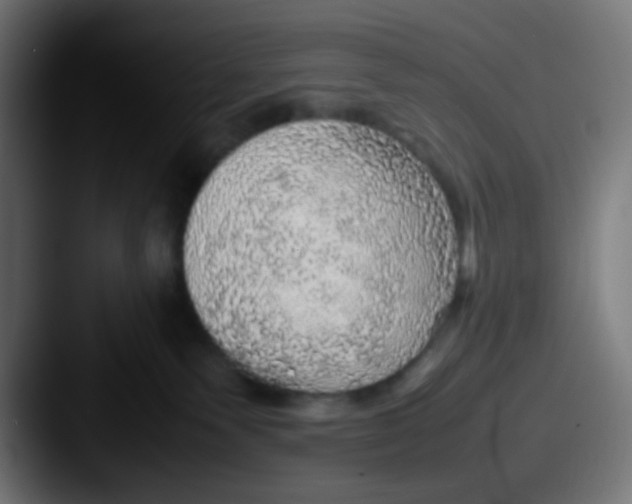 X0000087620135200705181320