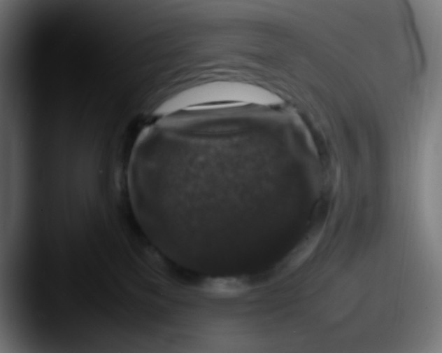 X0000087620137200705181320