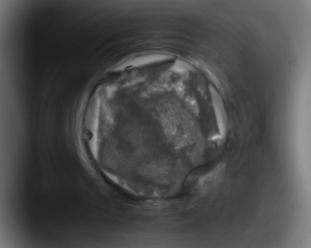 X0000087620145200705181319