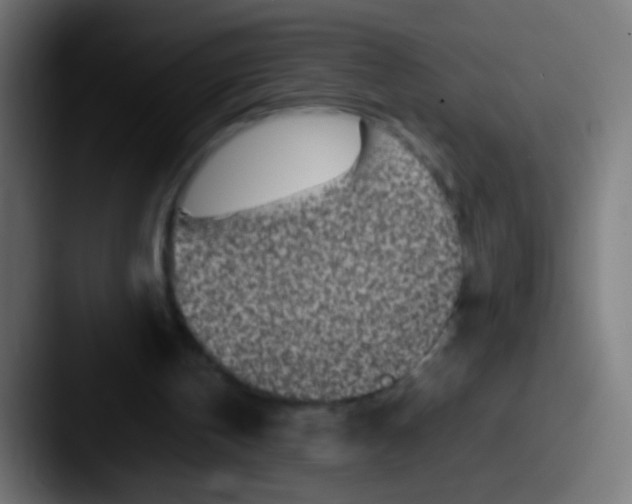 X0000087620146200705181319
