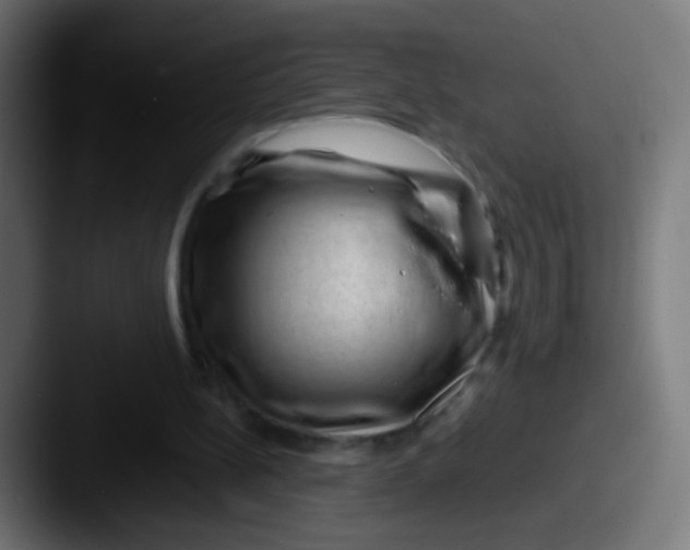 X0000087620148200705181319