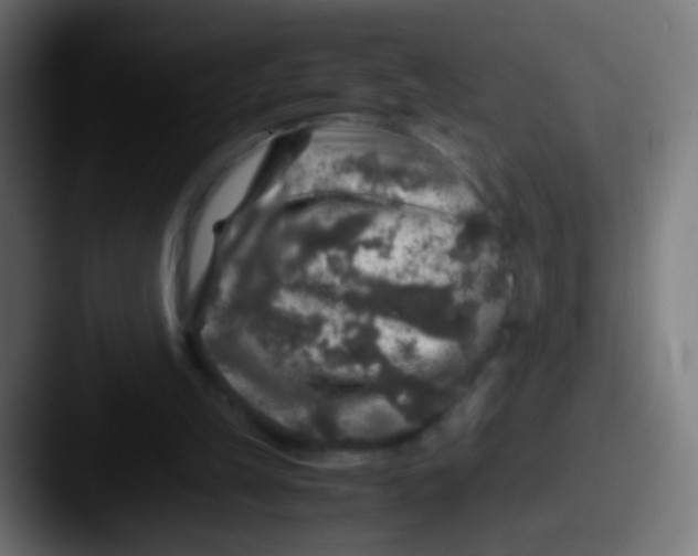 X0000087620149200705181319