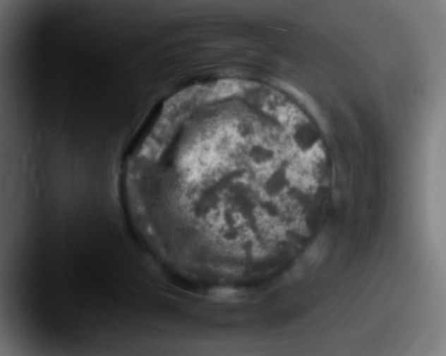 X0000087620153200705181319