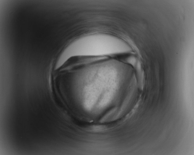 X0000087620154200705181319