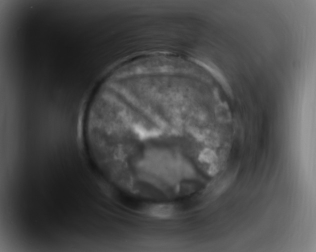 X0000087620155200705181319