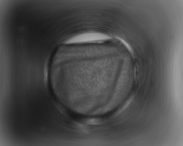 X0000087620157200705181319
