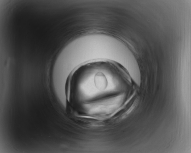 X0000087620158200705181319