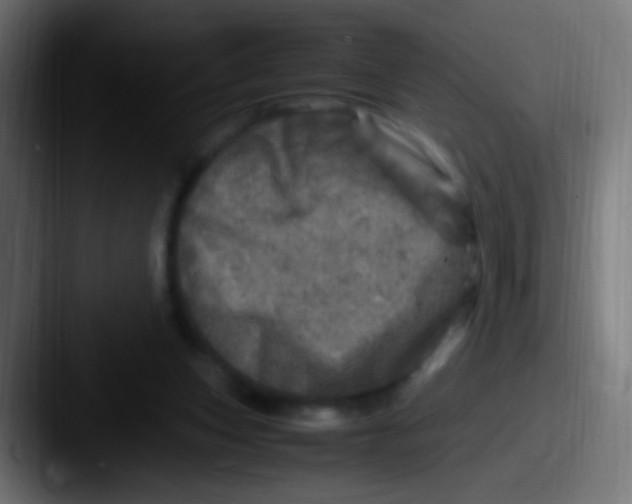 X0000087620159200705181319