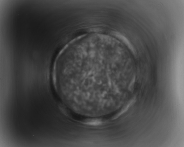 X0000087620161200705181319