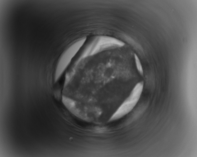 X0000087620165200705181319
