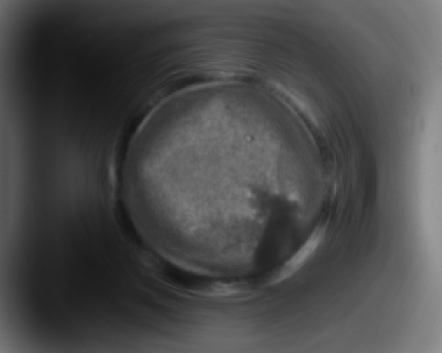 X0000087620166200705181319